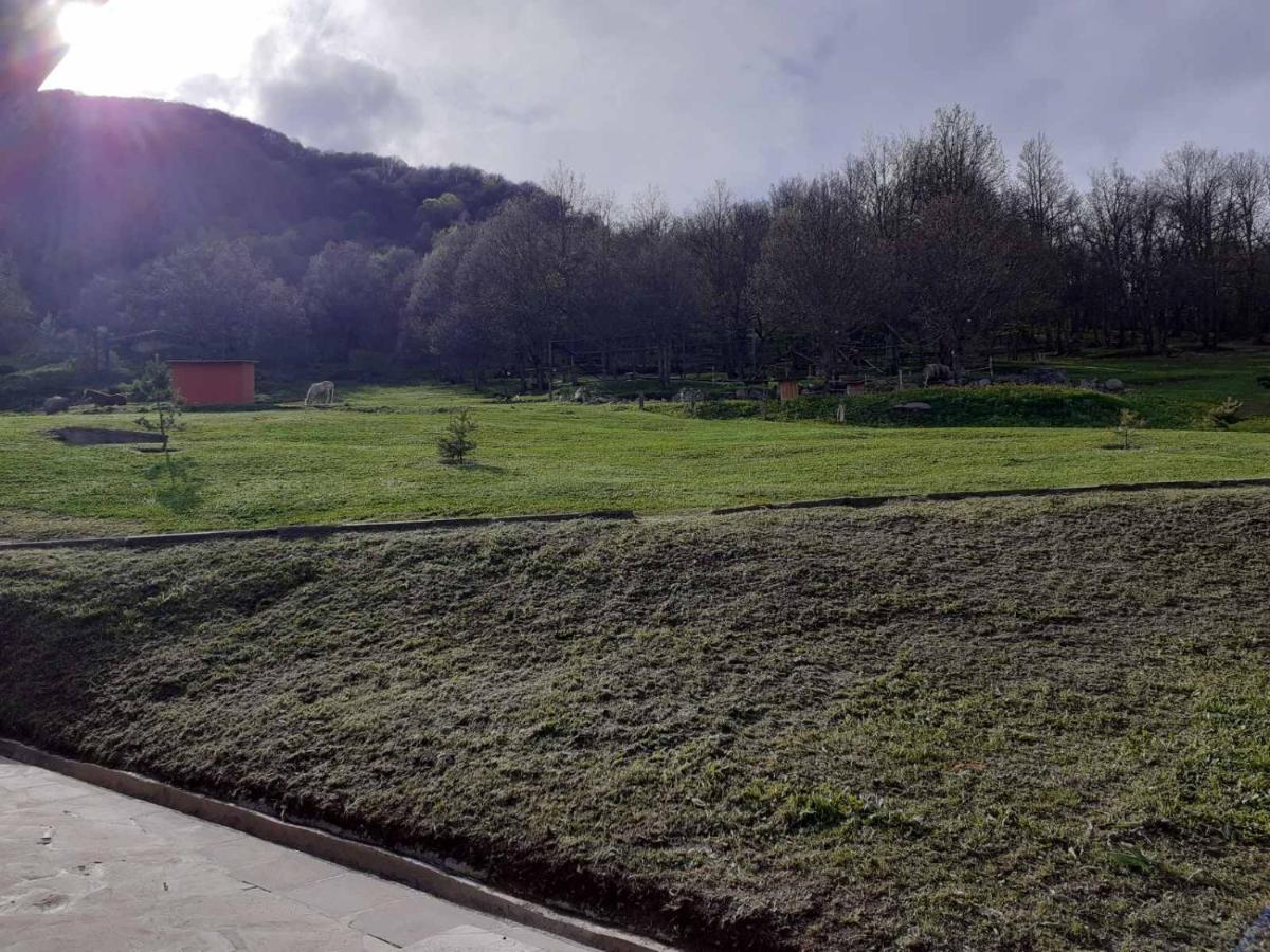 Ani Resort Artavaz Exteriér fotografie